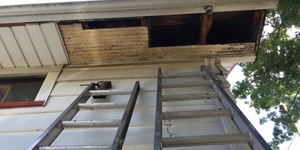 Soffit Repair